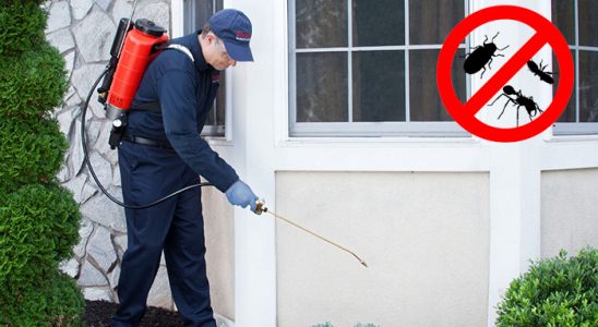 Kemalpaşa Fare İlaçlama böcek ilaçlama ve haşere kontrolü — ilaclama-tr.com